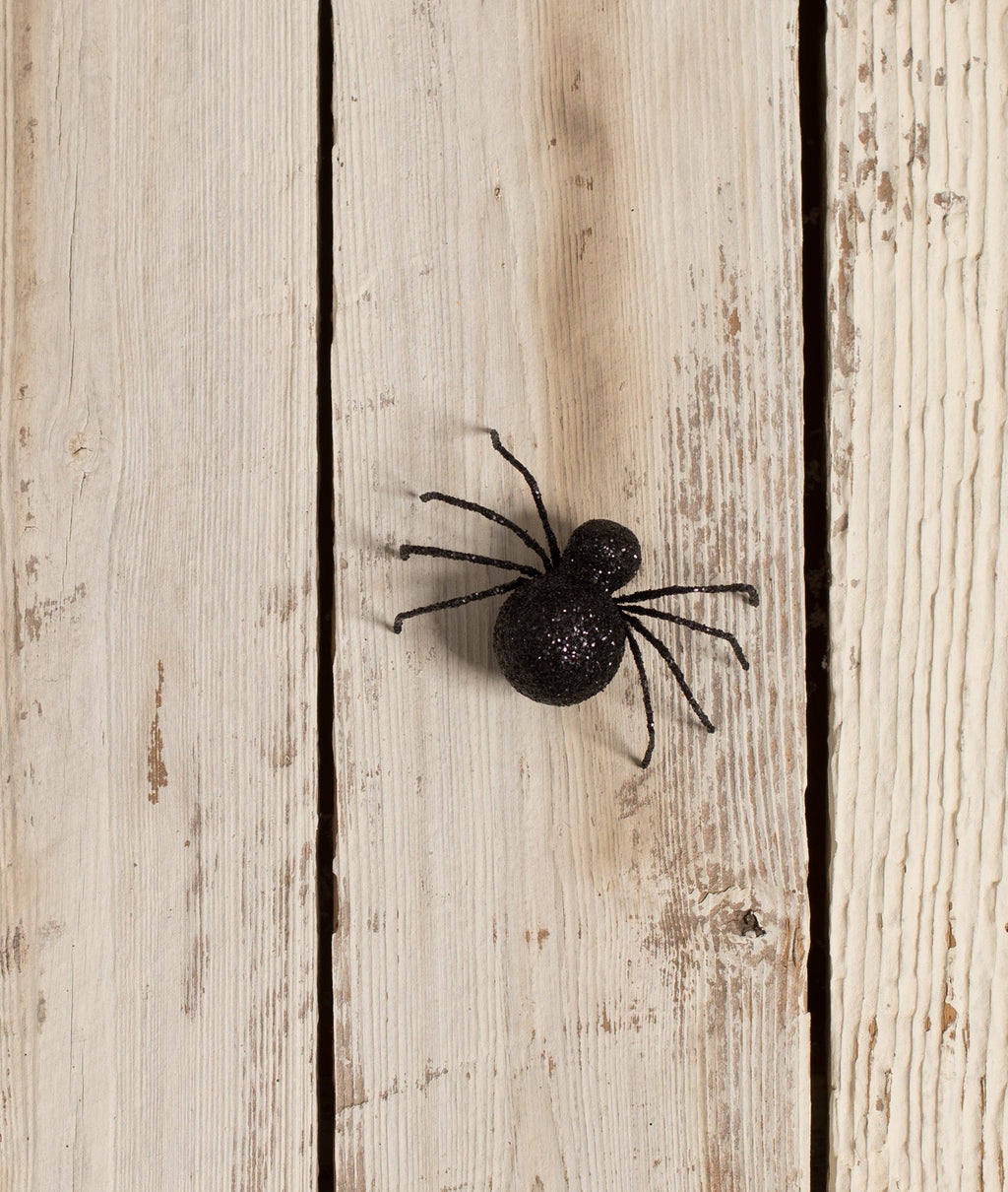 Glittered Spider Black