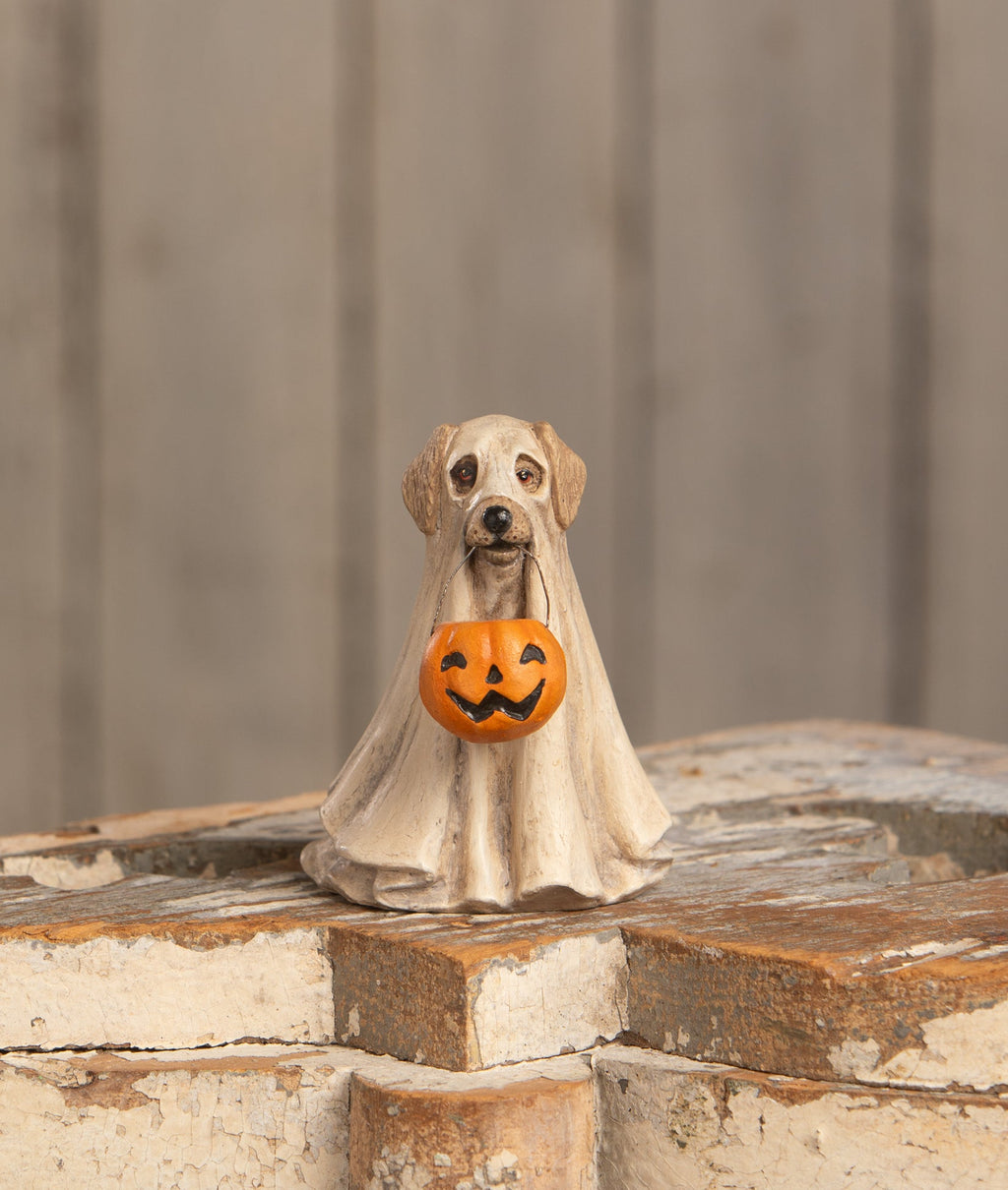 Spooky Ghost Dog