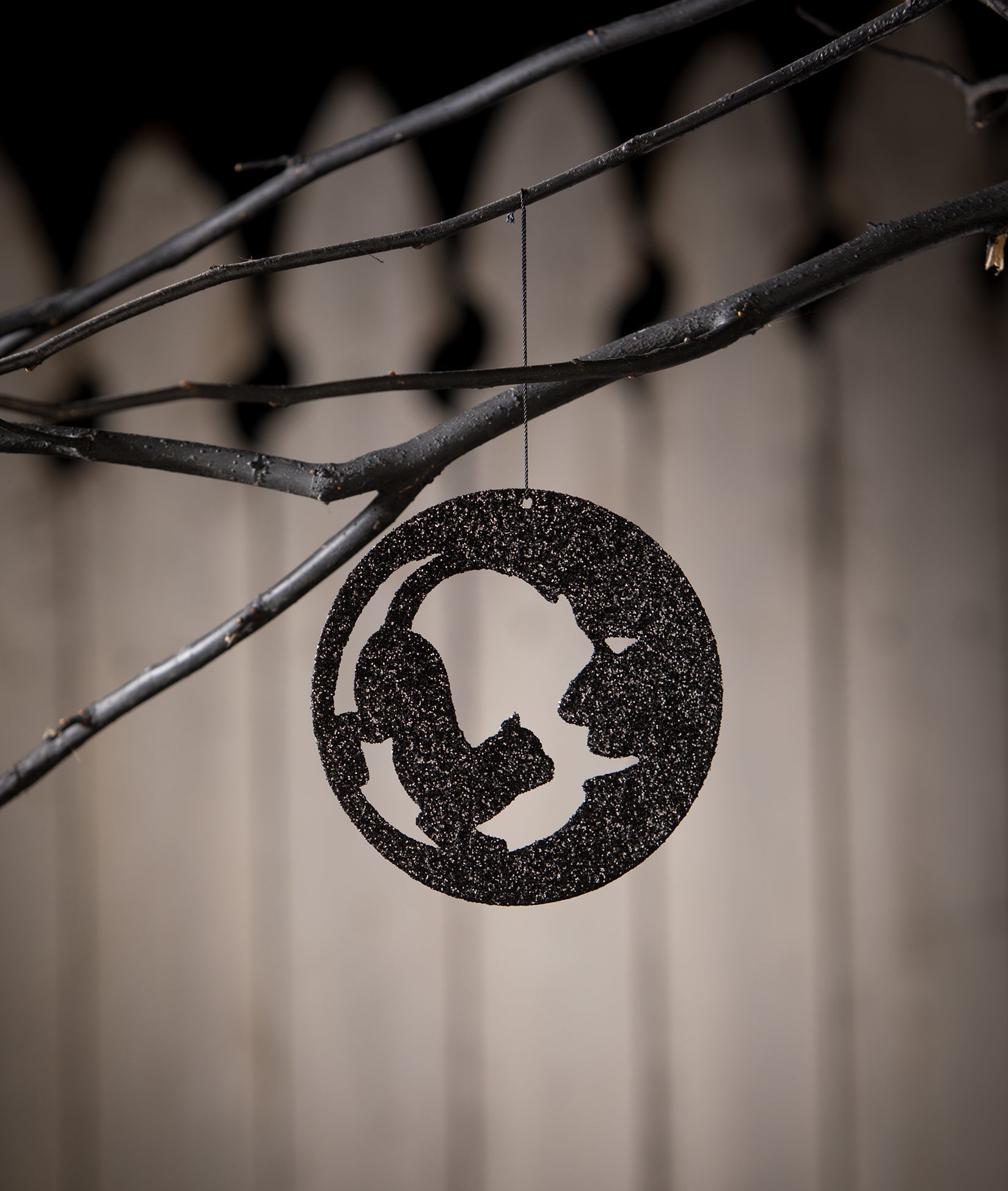 Cat in Moon Silhouette Orn.